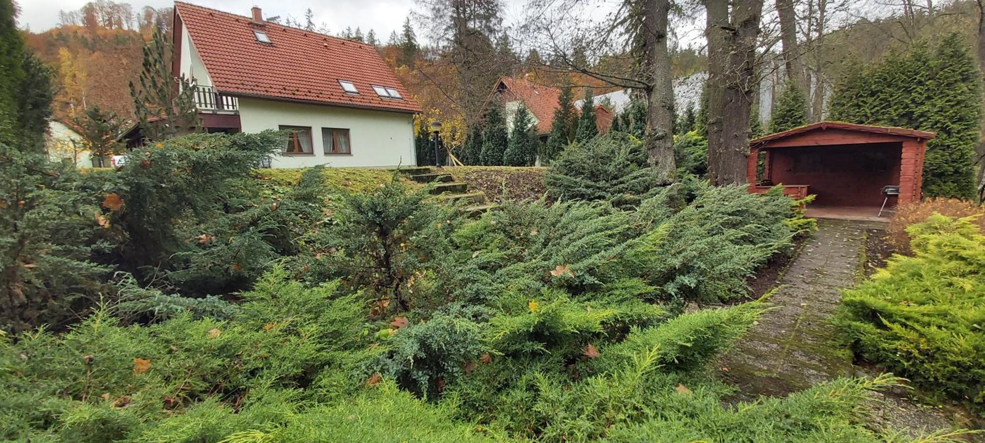 Gejzir 16 *